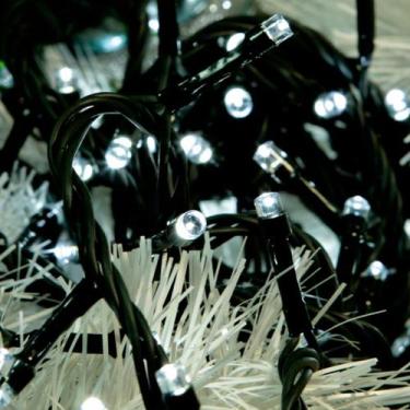 Imagem de Cordão Luminoso Led Taschibra Pisca Pisca 8 Funções 5m 96 Leds 110V, 6