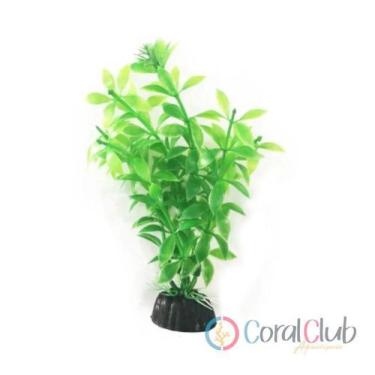 Imagem de Soma Planta Plástica Economy Verde 10cm (Mod.432)