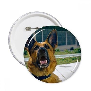 Imagem de Bonita imagem de fotografia de cachorro para animais de estimação, pinos redondos, emblema, botão, emblema, acessórios, decoração, 5 peças