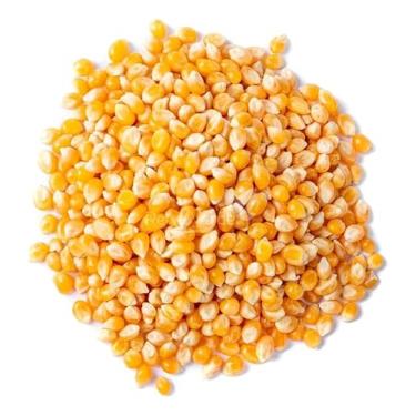 Imagem de Milho de Pipoca Rema, Grãos Premium, 500g