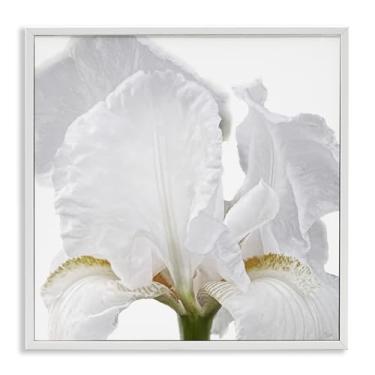 Imagem de Stupell Industries White Iris Close Up White Framed Giclee Art Design by Nan, 12 x 12