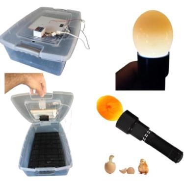 Imagem de Chocadeira Incubadora Pet Com Ovoscopio e Controle De Temperatura automático capacidade para 48 Ovos de Galinha ou 144 ovos de codorna
