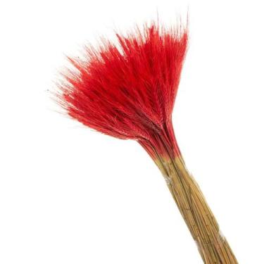 Imagem de Buque de Flores Secas Trigo Rosa bebe - Pense Flores, Vermelho