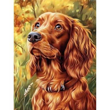 Imagem de YL Mainland Kits de pintura de diamante 5D Irish Setter Dog Pet Diamond Art Full Drill para adultos iniciantes, faça você mesmo, artesanato para relaxamento e decoração de parede de casa 30 x 40 cm