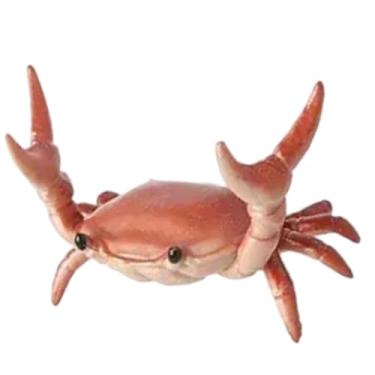 Imagem de Htppzjr 1 suporte criativo para caneta de caranguejo para levantamento de peso, suporte de armazenamento de caneta, decoração de mesa de escritório, porta-lápis, suportes e dispensadores