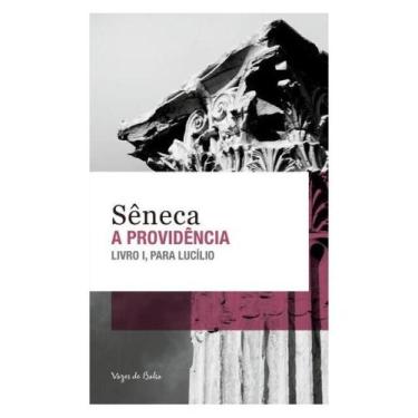 Imagem de A providência - ed. bolso - VOZES DE BOLSO