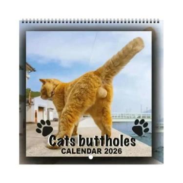 Imagem de Calendário De Parede Para Amantes De Gatos 2026, Planejador Engraçado 