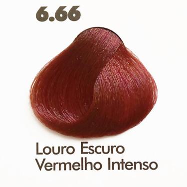 Imagem de Coloração Extra Color Salles Profissional 60g