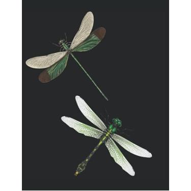 Imagem de Dragonfly Pattern Insect Summer Sun Motivation Focus Discipline Lake Sea: ANTI STRESS COLORING BOOK - Mandalas - Funny Dragonfly Blend Pattern - A4 ... Templates - Antistress - Relax - Coloring