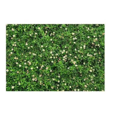 Imagem de Fundo Fotográfico Muro Inglês 2,2X1,5 Fff-508