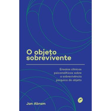 Imagem de Livro - O objeto sobrevivente