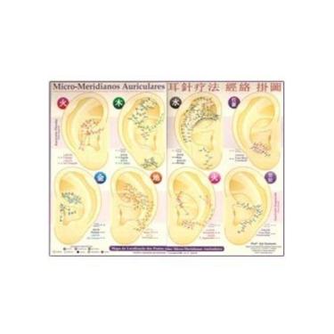 Imagem de Mapa Micro-Meridianos Auriculares - Instituto Samurai