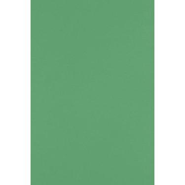Imagem de LUXPaper Cartolina de 30,5 cm x 45,7 cm | Verde festivo | Capa de 45,4 kg | Quantidade de 50