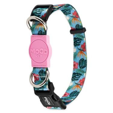 Imagem de Mood Pet Coleira Para Cachorro Cães Modelo Tradicional Tamanho Porte Grande Médio Pequeno (Sunny Rose, P)