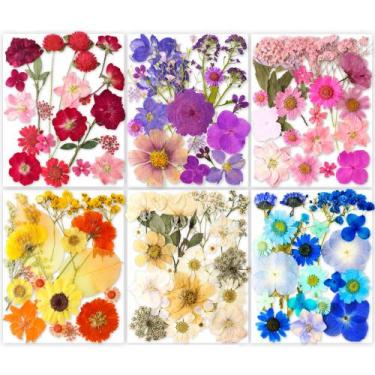 Imagem de Conjunto de flores secas prensadas, 221 unidades para artesanato em re