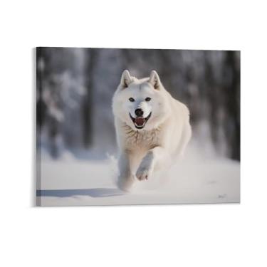 Imagem de HouLaiZhe Pôster de animal lobo branco correndo bela tela estética pôsteres decoração de sala de parede impressões de sala de galeria decoração de parede para quarto sala de estar escritório 16 x 20