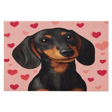 Imagem de CEBUGI Tapete de área 60 x 90 cm macio lavável tapete antiderrapante com suporte de borracha tapetes fofos para área de cachorro dachshund para sala de estar, quarto, decoração de casa