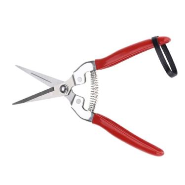 Imagem de Dioche Tesoura de Poda de Aço Inoxidável Premium Tesoura de Jardim que Economiza Esforço Ferramenta de Poda de árvores Frutíferas para Jardinagem, Aparar Vegetais, Flores e Coleta de (Cabeça Reta)