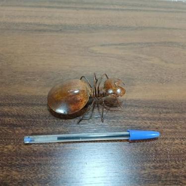 Imagem de Lembrancinha Artesanato Ferro Decora Formiga 10x7x4cm 23cm COD 03