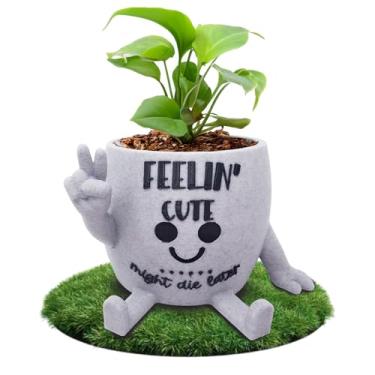 Imagem de Engraçado rosto vaso de cabeça interior, vaso de flores suculentas pequeno exclusivo, plantador de cacto fofo, decoração de casa interna, vaso de plantas de mesa de escritório, conjunto de presente de