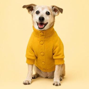 Imagem de Moletom para Pet com Gola Alta - PetChic - Mostarda, P