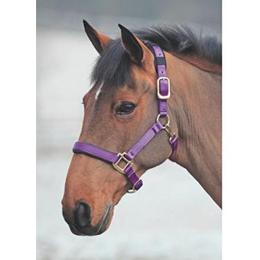 Imagem de Shires 387 Topázio Nylon Headcollar Cob, Roxo