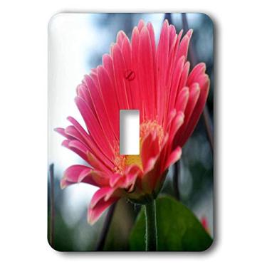 Imagem de 3dRose LLC lsp_22385_1 Interruptor de botão único Gerbera Daisy