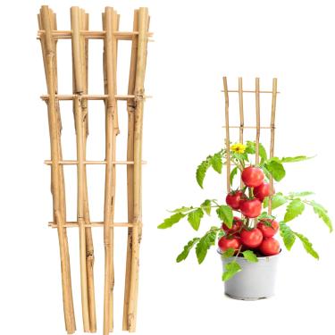 Imagem de Taoskai Pacote Com 10 Treliças De Bambu 16" Para Plantas Trepadeiras, Treliça Escada Jardim Natural Em Formato Leque Vasos, Domésticas
