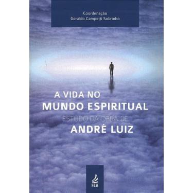 Imagem de A Vida no Mundo Espiritual - Livro de Pesquisa e Reflexão - FEB