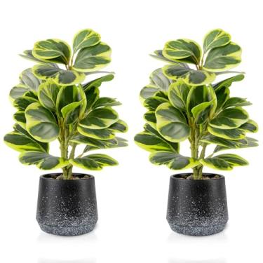 Imagem de WOHSEROM Pacote com 2 plantas artificiais realistas Peperomia Obtusifolia, 28 cm de vegetação sintética pequena para mesa, banheiro, escritório ou decoração de casa (verde, livre de manutenção)