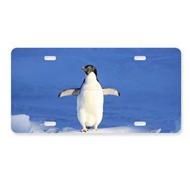Imagem de DIYthinker Linda placa de carro com imagem de pinguim branco ciência natureza decoração de carro acessório de aço inoxidável