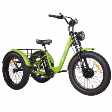 Imagem de Triciclo Elétrico Adulto Dream Bike - Verde - Fat Elektra 500