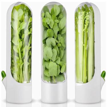 Imagem de HVECT protetor de ervas para geladeira, recipientes de coentro para cápsulas de coentro para geladeira, protetor de ervas frescas para coentro, salsa, aspargos, hortelã, mantém vegetais por