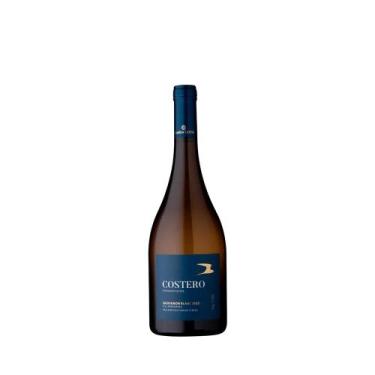 Imagem de Vinho Branco Mario Geisse Costero 750ml