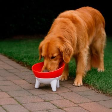 Imagem de Comedouro e Bebedouro Pote Inclinado de Plástico Cão Gato (Cod. SPO0349)