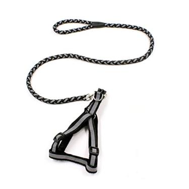 Imagem de Coleira para cães de estimação corda redonda refletora correia para cães com peitoral corrente para filhotes conjunto de coleira para cães pequenos cães