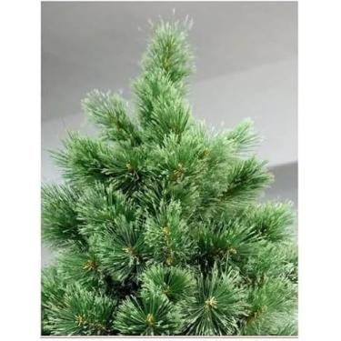 Imagem de Árvore de Natal Nevada, 2,10m de Altura, Verde, 450 Galhos, PVC e Ferro, Base de Metal, Decoração Natalina