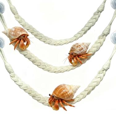 Imagem de kathson 3 peças de brinquedos de escalada de caranguejo eremita, escada de corda de escalada de caranguejo eremita com 10 ganchos de ventosa, acessórios de terrário para lagartos cobras lagartixas