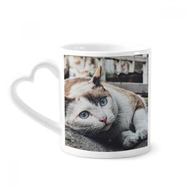 Imagem de Caneca com foto de gato colorida de animal Caneca de café de cerâmica copo de coração de vidro