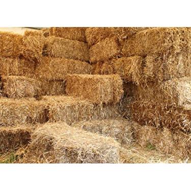 Imagem de BELECO Pano de fundo para fotografia de palheiro de fazenda, 2,7 x 1,8 m, outono, fardos de feno para celeiro rural, cenário de colheita de outono, decoração de festa de Ação de Graças, pilha de