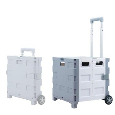 Imagem de Carrinho de compras leve, carrinho de plástico com 2 rodas e tampa, carrinho portátil com alça telescópica para armazenamento de compras e viagens