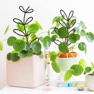 Imagem de TOPINCN Treliça de Jardim Pequena Em Forma de Folha de Ferro Forjado Treliça de Suporte para Plantas de Escalada para Decoração Interna e Externa - Preto (TOPINCNyfetmq0r4p-10344368)