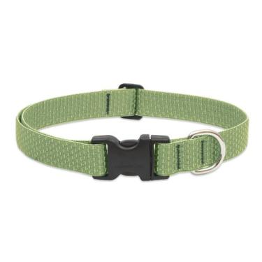 Imagem de LupinePet Coleira ajustável Eco 2,5 cm musgo 30,5 cm - 50,8 cm para cães médios e maiores