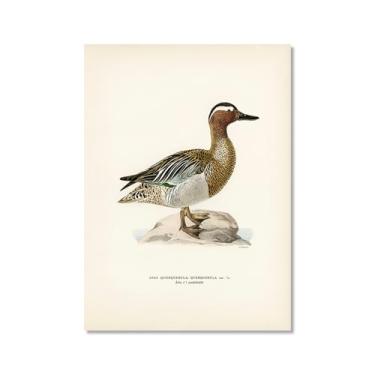 Imagem de Pôster de arte de parede vintage com estampa de pato rústica, pássaros, lago, natureza, retrô, pintura, quadros, decoração de quarto de fazenda (SKU1,50.8x71.1 cm = (50 x 70 cm), sem moldura)