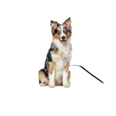 Imagem de Tapete Canino Pet Estratégico Em Oferta 2 Un P 50X60Cm - Shelby Moda P