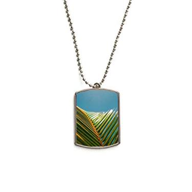 Imagem de DIYthinker Colar para animais de estimação com pingente de corrente de aço inoxidável para fotografia de céu azul natureza