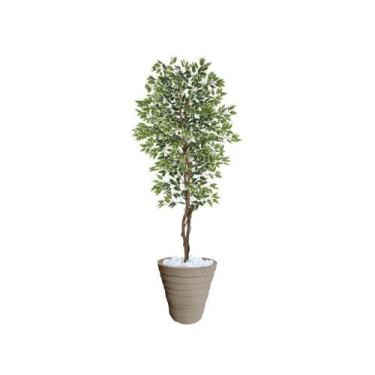 Imagem de Planta Artificial Ficus Verde Creme 2,10m kit + Vaso Redondo D. Grafia