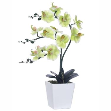 Imagem de YSZL Arranjos de flores de orquídea Phalaenopsis de seda artificial de 38 cm de altura (verde maçã)