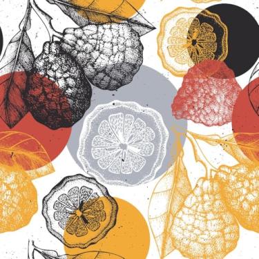 Imagem de Papel de Parede Adesivo Lavável Frutas Laranja 10m