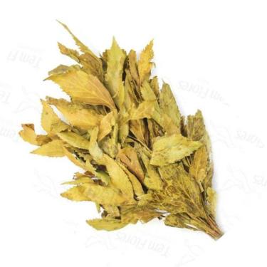 Imagem de Carne De Vaca Flor Desidratada Buque Flores Secas - Pense Flores, Amar